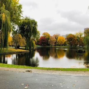 Meet your Posher, Rose